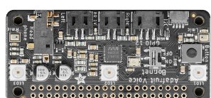The voice bonnet